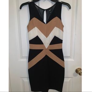 Cute, Comfortable Windsor Mini Dress